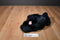 Russ Alleluia Peace Dark Blue Teddy Bear Beanbag Plush