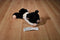A&A Black and White Pig Beanbag Plush
