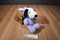 Hallmark Peanuts Snoopy in Purple Bunny Costume Beanbag Plush