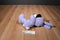Hallmark Peanuts Snoopy in Purple Bunny Costume Beanbag Plush