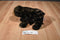 Douglas Cuddle Toy Brown Grizzly Bear Beanbag Plush
