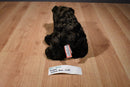Douglas Cuddle Toy Brown Grizzly Bear Beanbag Plush