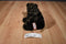 Douglas Cuddle Toy Brown Grizzly Bear Beanbag Plush