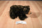 Douglas Cuddle Toy Brown Grizzly Bear Beanbag Plush