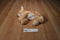 Aurora Lion Cub Beanbag Plush