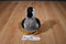 Hugfun White Grey Brown Duck Plush