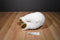 Dakin White Bear with Brown Baby Bear Plush