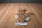 Ganz Webkinz Cocker Spaniel HM011 Beanbag Plush