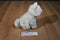 Ganz Webkinz Signature White Persian Cat WKSS2003 Plush (No Code)