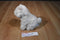 Ganz Webkinz Signature White Persian Cat WKSS2003 Plush (No Code)