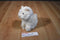 Ganz Webkinz Signature White Persian Cat WKSS2003 Plush (No Code)
