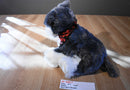 JAAG Scheels Gray and White Schnauzer 2017 Beanbag Plush