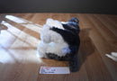 JAAG Scheels Gray and White Schnauzer 2017 Beanbag Plush