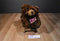 MJC Purr-fection Tiny Truffles Bear Plush