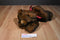 MJC Purr-fection Tiny Truffles Bear Plush