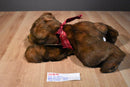 MJC Purr-fection Tiny Truffles Bear Plush