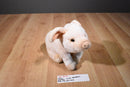 Ganz Webkinz Signature Pink Pig Beanbag Plush WKS1012 No Code