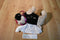 Poochie and Co. Pug Black Sequins Plush Bag Purse