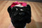 Poochie and Co. Pug Black Sequins Plush Bag Purse
