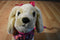 Poochie and Co. Yellow Lab Pink Butterfly Sequins Plush Bag Purse