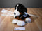 JAAG Scheels Bernese Mountain Dog Beanbag Plush