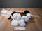 JAAG Scheels Bernese Mountain Dog Beanbag Plush