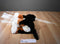JAAG Scheels Bernese Mountain Dog Beanbag Plush