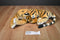 American Furniture Warehouse Bengal Tiger Plush