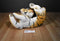 American Furniture Warehouse Bengal Tiger Plush