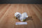 AFLAC Talking Duck 6 inch Plush