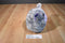Ty Beanie Ballz Thunder the Elephant 2011 Beanbag Plush
