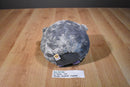 Ty Beanie Ballz Thunder the Elephant 2011 Beanbag Plush
