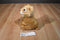 Aurora Miyoni Tots Lion Cub Beanbag Plush