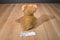 Aurora Miyoni Tots Lion Cub Beanbag Plush