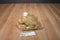 Aurora Miyoni Tots Lion Cub Beanbag Plush