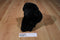 Animal Alley Black Lab Beanbag Plush
