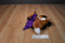 Douglas UHCCF Charlotte the Red Fox Beanbag Plush
