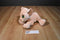 Disney Store Baby Nala Plush
