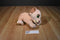 Disney Store Baby Nala Plush