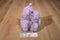 Welby Warming Buddies Purple Lavender Hippo Warming Plush
