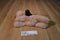 Cozy Hugs Tan and Brown Dog Warming Aromatherapy Plush