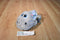 Zoomworks Baby Stuffies Gracie the Gray Hippo 2014 Beanbag Plush