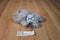 Zoomworks Baby Stuffies Gracie the Gray Hippo 2014 Beanbag Plush