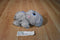 Zoomworks Baby Stuffies Gracie the Gray Hippo 2014 Beanbag Plush