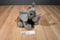 Wild Republic Sitting African Elephant Calf 2015 Beanbag Plush