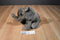 Wild Republic Sitting African Elephant Calf 2015 Beanbag Plush