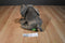 Wild Republic Sitting African Elephant Calf 2015 Beanbag Plush