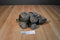 Wild Republic Sitting African Elephant Calf 2015 Beanbag Plush