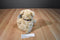 Kellytoy Classic Impressions Beige Teddy Bear Beanbag Plush