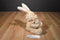 Best Made Toys Target Beige Bunny Rabbit and Baby Plush